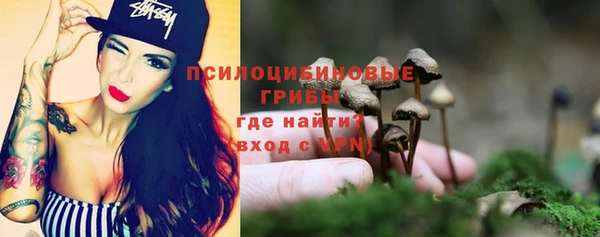 ГАЛЛЮЦИНОГЕННЫЕ ГРИБЫ Лиски