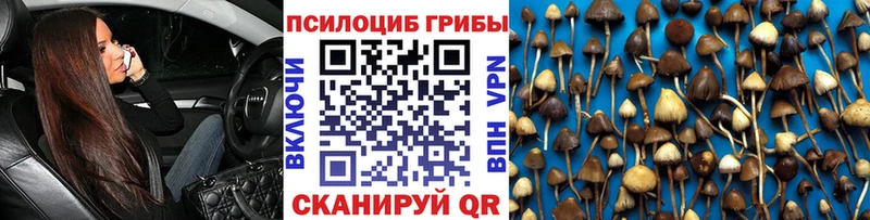 где найти наркотики  мега зеркало  Псилоцибиновые грибы ЛСД  Кубинка 