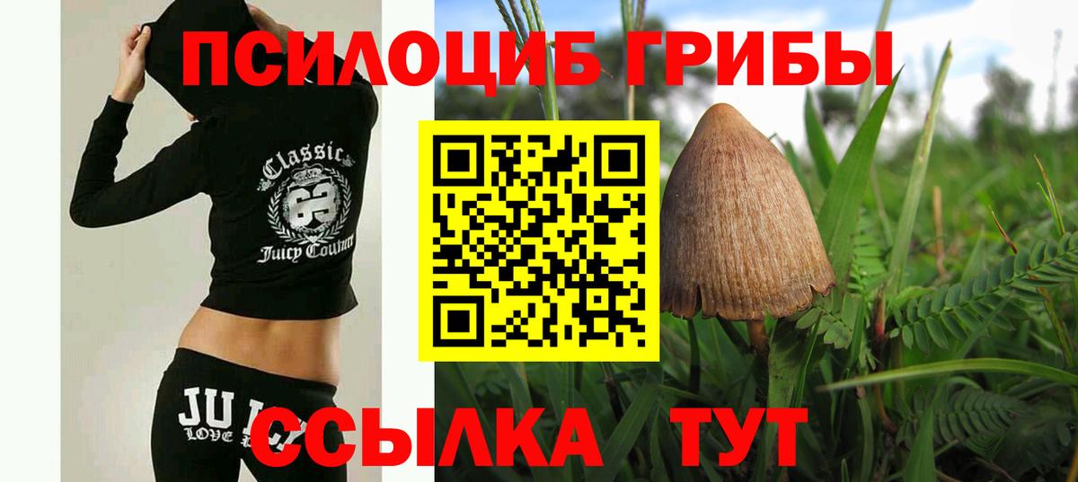 Кубинка  Галлюциногенные грибы Psilocybe  Вход с VPN  сколько стоит  Псилоцибиновые грибы прущие грибы 